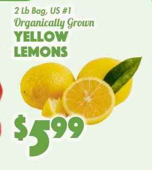 The Food Emporium Yellow Lemons offer