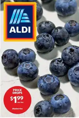 Aldi Aldi offer