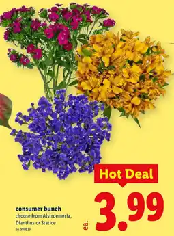 Lidl Consumer bunch offer