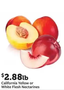 Fareway California yellow or white flesh nectarines offer