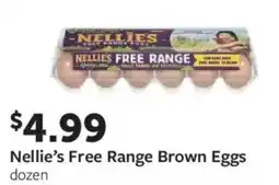 Fareway Nellie's free range brown eggs dozen offer