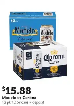 Fareway Modelo or corona offer