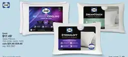 JC Penney Sealy Pillow offer