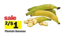 Meijer Plantain Bananas offer