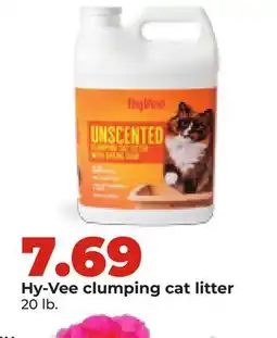 Hy-Vee Hy-Vee clumping cat litter offer