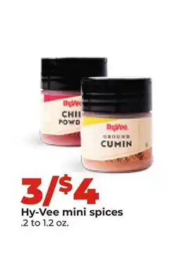 Hy-Vee Hy-Vee mini spices offer
