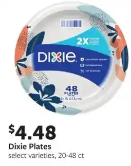 Fareway Dixie plates offer
