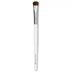 Walgreens Eyeshadow Brush offer