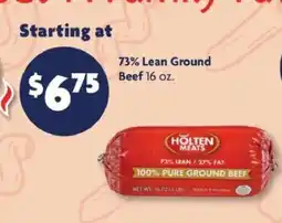 Family Dollar Holten Meats 73% Lean Ground Beef offer