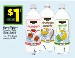 Dollar General Clover Valley offer