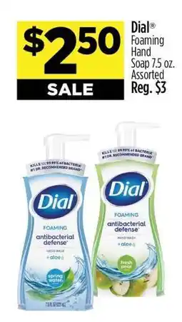 Dollar General Dial Foaming Hand Soap 7.5 oz. Assorted offer