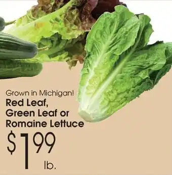 Family Fare Red leaf, green leaf or romaine lettuce offer