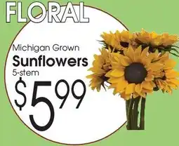 Family Fare Michigan grown sunflowers offer