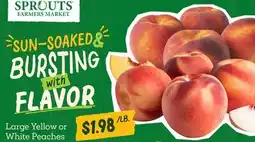 Sprouts Farmers Market Large Yellow or White Peaches offer