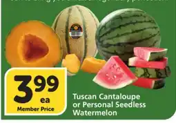 Vons Tuscan Cantaloupe or Personal Seedless Watermelon offer