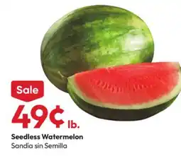 Stater Bros Seedless Watermelon offer