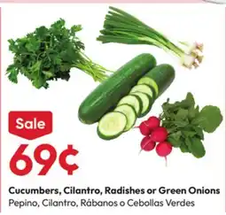 Stater Bros Cucumbers, Cilantro, Radishes or Green Onions offer