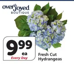 Albertsons Overjoyed Fresh Cut Hydrangeas offer