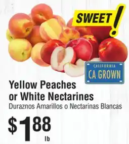 Smart & Final Yellow Peaches or White Nectarines offer