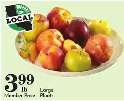 Pavilions Large Pluots offer
