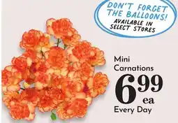Pavilions Mini Carnations offer