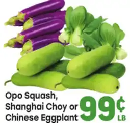 Tony’s Fresh Market Opo Squash, Shanghai Choy or Chinese Eggplant offer
