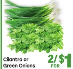 Tony’s Fresh Market Cilantro or Green Onions offer