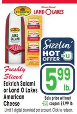 Jewel-Osco Eckrich Salami or Land O Lakes American Cheese offer