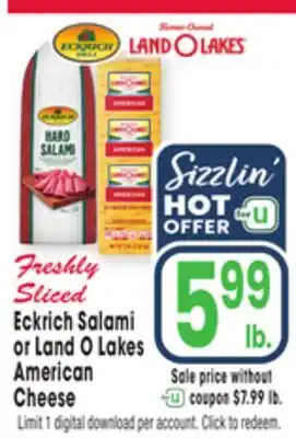 Jewel-Osco Eckrich Salami or Land O Lakes American Cheese offer