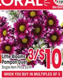 Jewel-Osco Little Blooms Pompon Duet offer