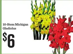 Mariano's 10-Stem Michigan Gladiolus offer