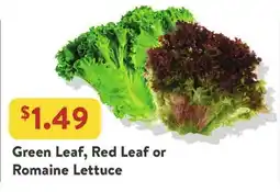 Fresh Thyme Green Leaf, Red Leaf or Romaine Lettuce offer