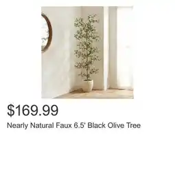 Costco Nearly Natural Faux 6.5' Black Olive Tree offer