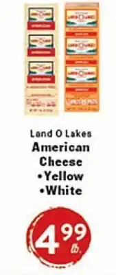 Rio Valley Market Land O Lakes American Cheese • Yellow • White offer