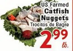 Rio Valley Market US Farm US Farmated Catfish Nuggets offer