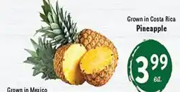 Rio Valley Market Pineapple offer