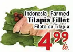 Rio Valley Market Indonesia Farmed Tilapia Fillet offer