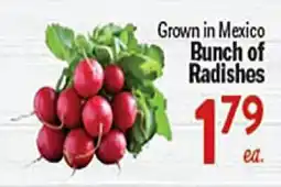 Rio Valley Market Bunch of Radishes offer