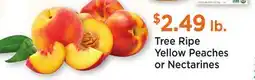 Heinen's Tree Ripe Yellow Peaches or Nectarines offer