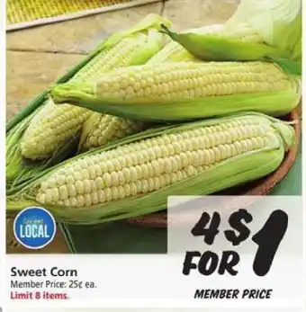 Safeway Sweet Corn offer