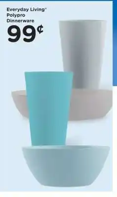 Everyday Living Polypro Dinnerware