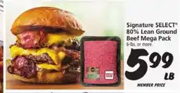 Safeway Signature SELECT 80% Lean Ground Beef Mega Pack offer