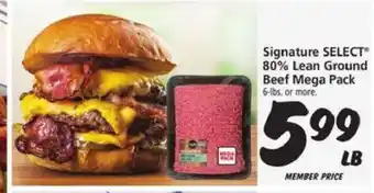 Safeway Signature SELECT 80% Lean Ground Beef Mega Pack offer