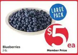 Safeway Blueberries offer