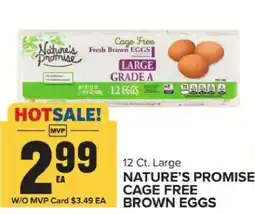 Food Lion Nature's Promise Cage Free Brown Eggs offer