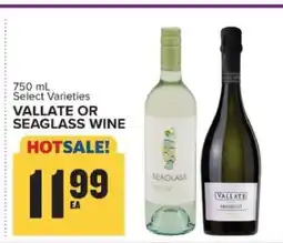 Food Lion Vallate or Seaglass Wine offer