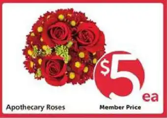 Safeway Apothecary Roses offer