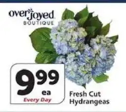Albertsons Fresh Cut Hydrangeas offer