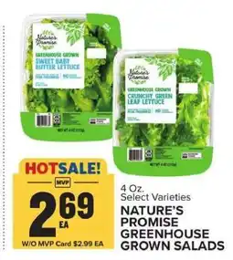 Food Lion NATURE'S PROMISE GREENHOUSE GROWN SALADS offer