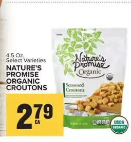 Food Lion NATURE'S PROMISE ORGANIC CROUTONS offer